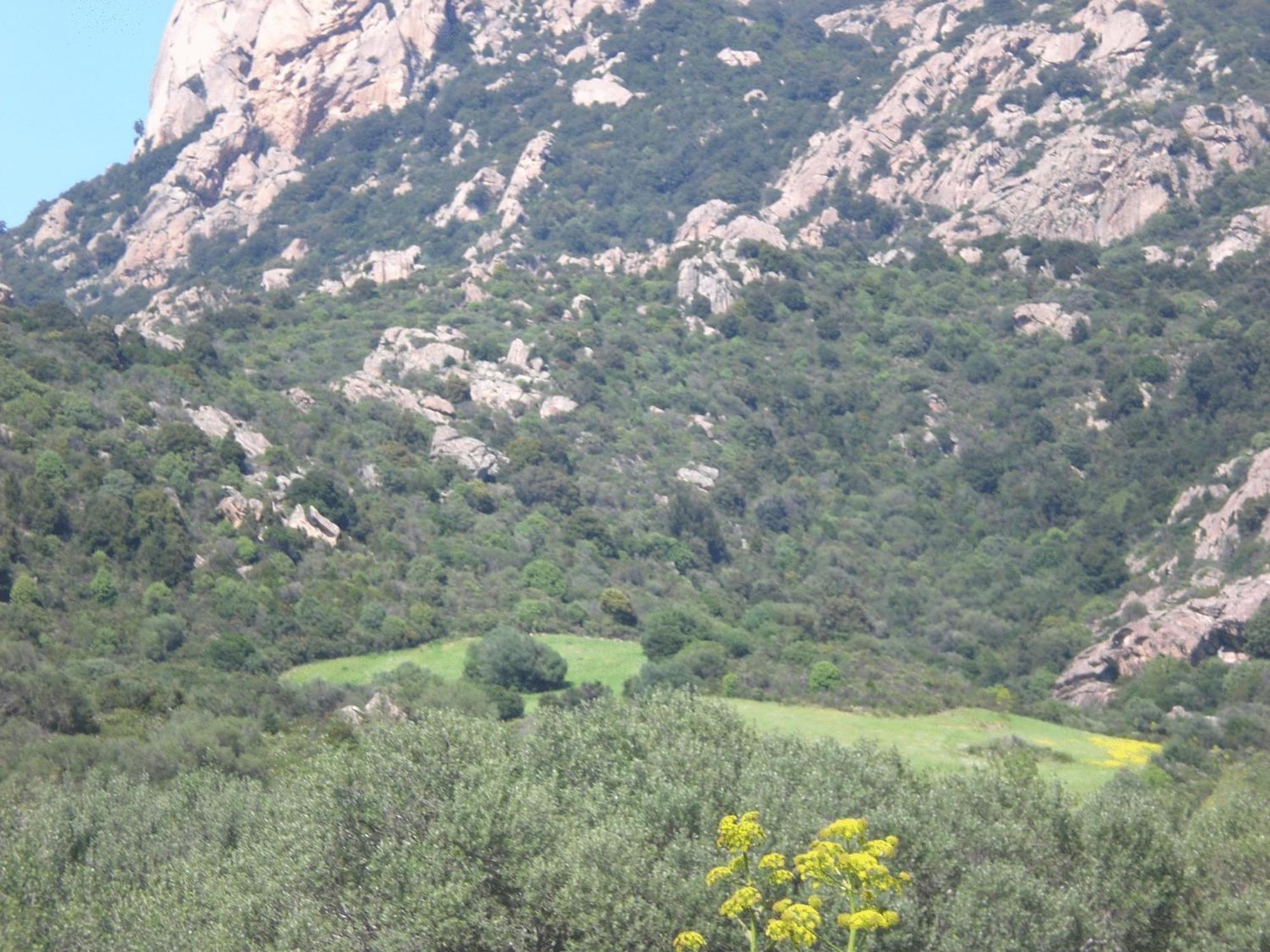 Hotel Turismo Rurale Montitundu Portisco Exteriér fotografie